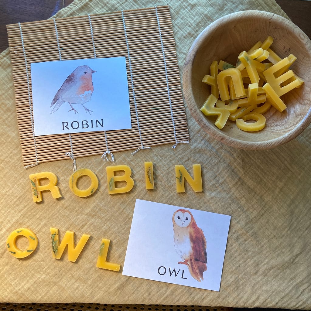 a flashcard with a watercolor illustration of a robin with the word "ROBIN". Beeswax letters lay underneath spelling the word "robin."