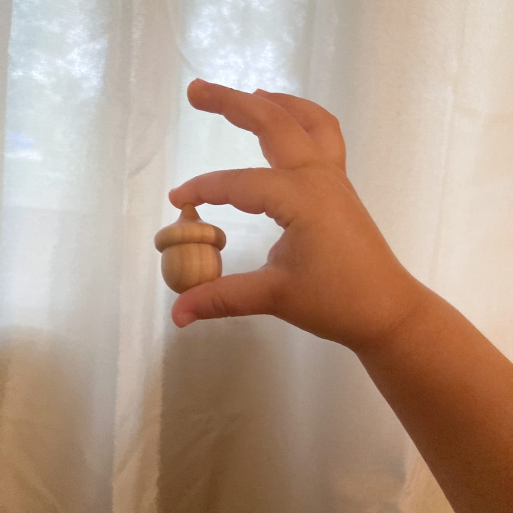 toddler using the pincer grasp to hold an acorn