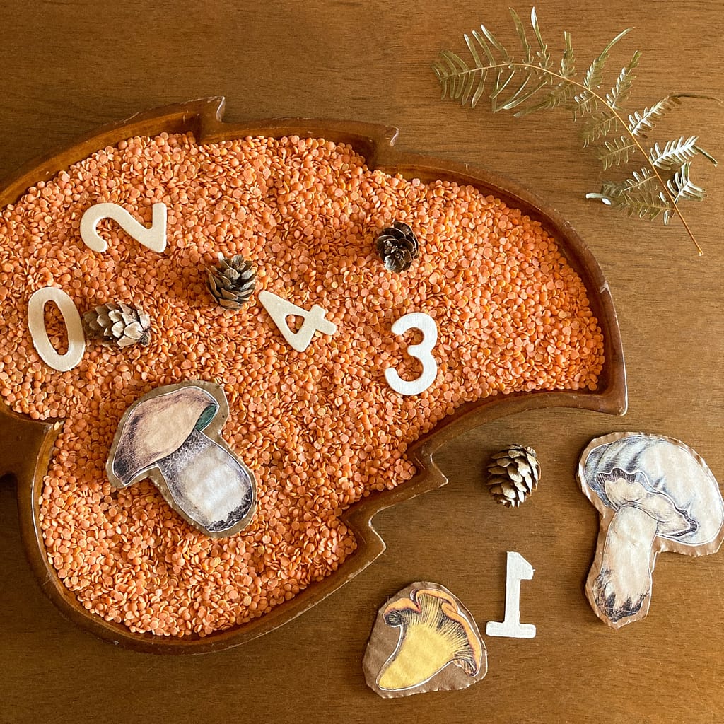 wood tray with lentils, numbers and pinecones